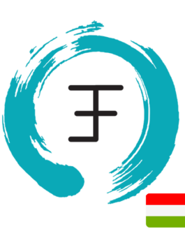 ElementsFlow Hungarian version